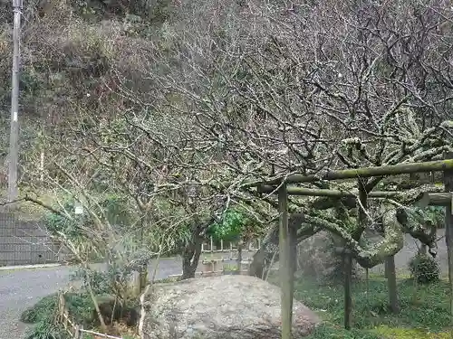 光則寺(神奈川県)