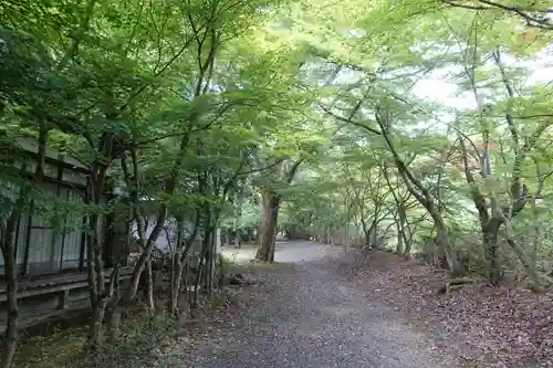 金剛院の景色