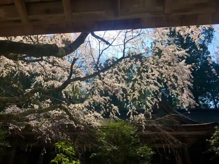 吉野水分神社(吉野町)のその他建物