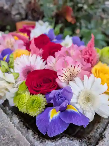 本郷氷川神社(東京都)