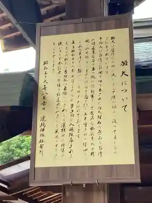 鹿嶋神社の歴史