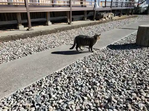 唐澤山神社(栃木県)