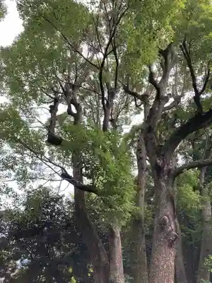 渋谷氷川神社(東京都)