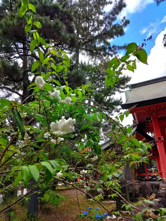 住吉大社の自然