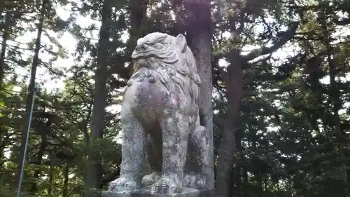 金刀比羅神社の狛犬