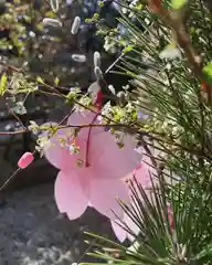 滑川神社 - 仕事と子どもの守り神(福島県)