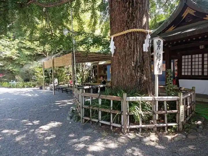 大宮八幡宮(東京都)