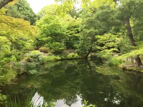 等持院の景色