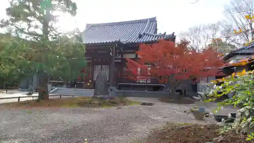 妙隆寺の本殿・本堂