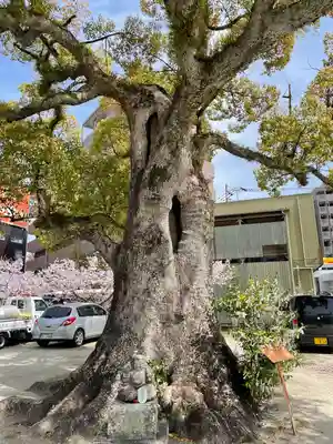 本庄神社(佐賀県)