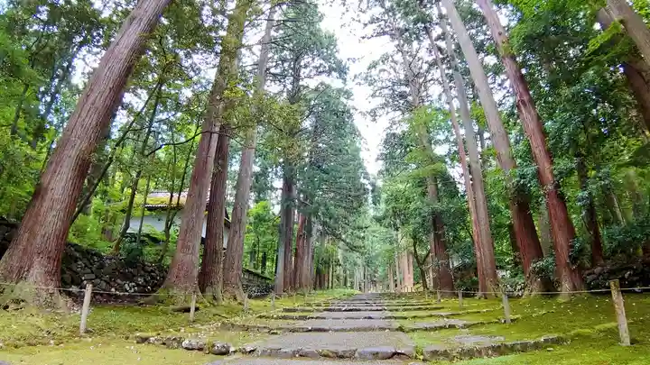 平泉寺白山神社(福井県)