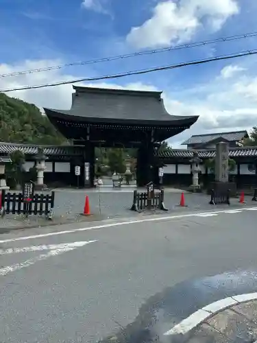 京都乃木神社(京都府)