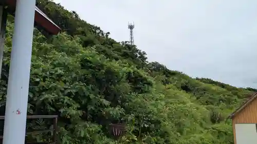 小平神社の自然