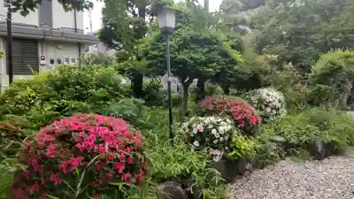 金蔵寺(神奈川県)