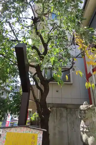吉原神社のその他建物