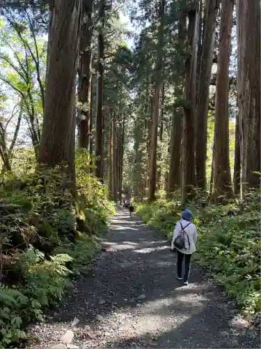 戸隠神社九頭龍社(長野県)