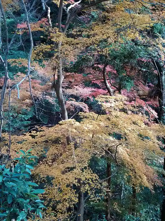 神峯山寺(大阪府)