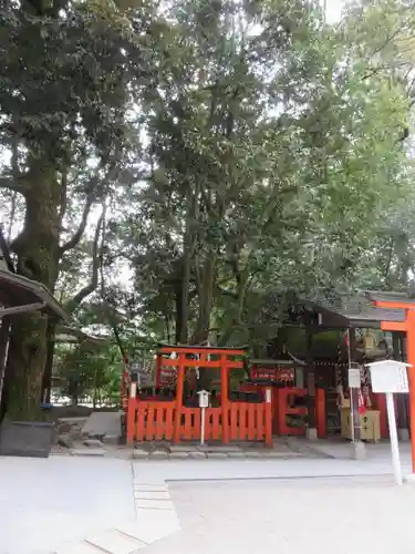 賀茂御祖神社（下鴨神社）の自然