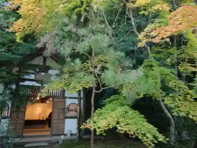 法然院(京都府)