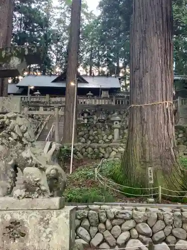 大洲七椙神社(長野県)