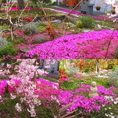 寿量山　速成寺の自然