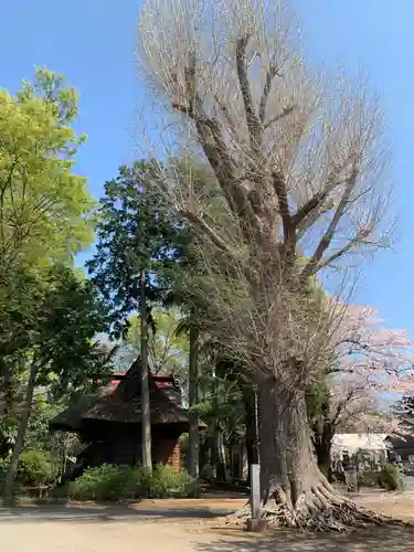 常福寺(茨城県)