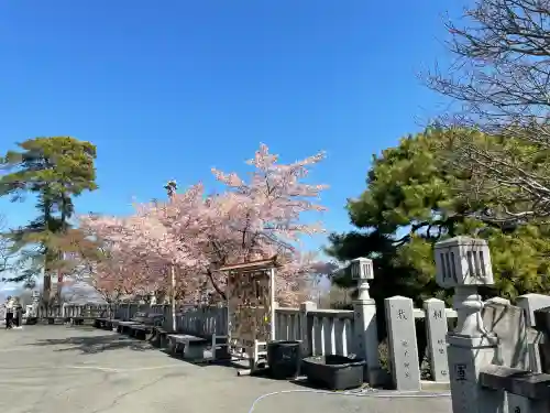 観音山慈眼院（高崎観音）の{uncategorized: "未分類", other: "その他", undefined: "問題あり", building: "その他建物", grave: "お墓", sacred_gate: "鳥居", guardian: "狛犬", statue: "像", buddha: "仏像", history: "歴史", nature: "自然", garden: "庭園", animal: "動物", pagoda: "塔", temizu: "手水舎", mountain_gate: "山門・神門", sanctuary: "本殿・本堂", subordinate: "末社・摂社", art: "芸術", scenery: "景色", jizo: "地蔵", ema: "絵馬", goshuin: "御朱印", omikuji: "おみくじ", items: "授与品その他", amulet: "お守り", goshuincho: "御朱印帳", eats: "食事", festival: "お祭り", votive_dance: "神楽", shichigosan: "七五三参", wedding: "結婚式", experience: "体験その他", initially: "初詣", around: "周辺", anti_infection: "感染症対策"}