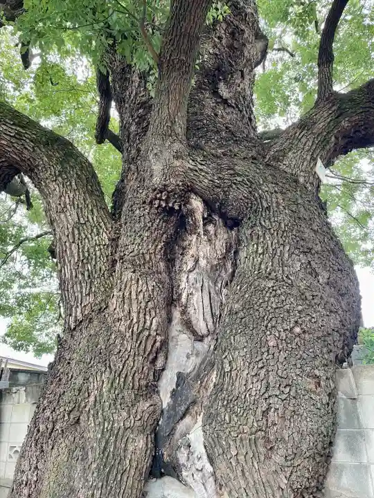 感應寺(東京都)
