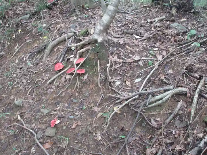 遍照寺(埼玉県)