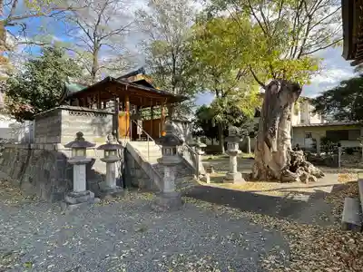 若宮八幡神社(滋賀県)