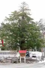 豊栄神社(北海道)