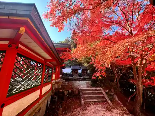 佐久奈度神社(滋賀県)