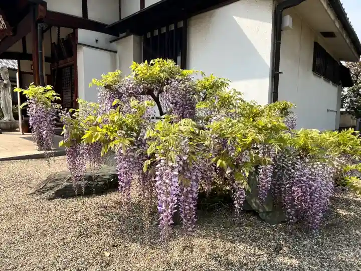 荘嚴浄土寺(大阪府)