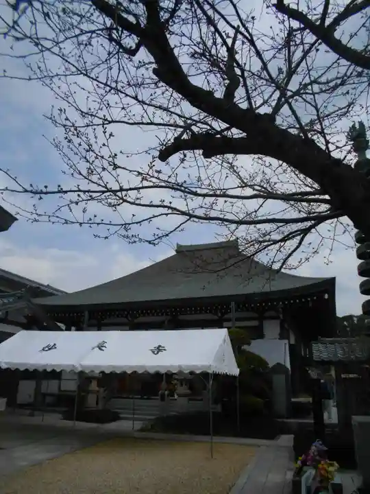 妙長寺の本殿・本堂