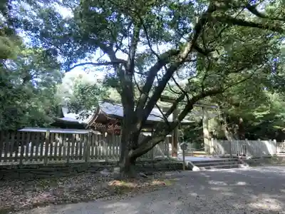 日前神宮・國懸神宮のその他建物