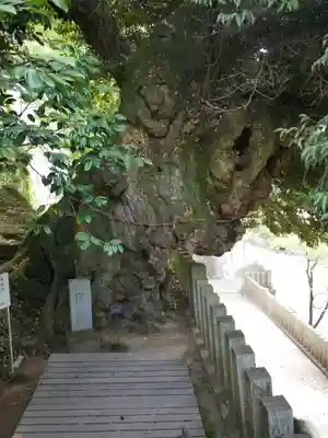 楽法寺（雨引観音）(茨城県)