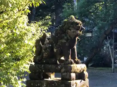 八幡宮の狛犬