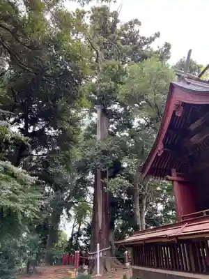 麻賀多神社奥宮(千葉県)