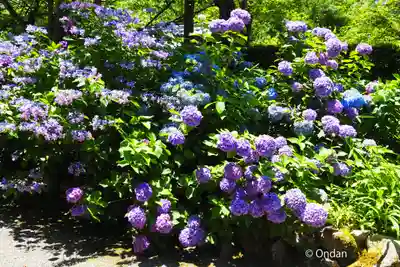 金剛輪寺(滋賀県)