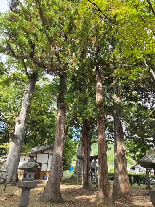 飯沼神社(長野県)