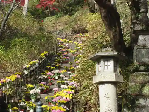 長谷寺(奈良県)