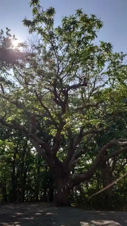 相馬神社(北海道)
