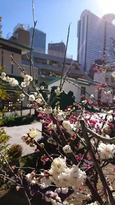 成子天神社の自然