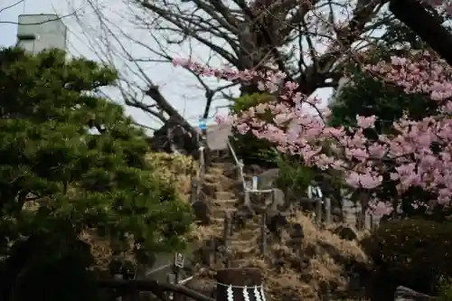 鳩森八幡神社の{uncategorized: "未分類", other: "その他", undefined: "問題あり", building: "その他建物", grave: "お墓", sacred_gate: "鳥居", guardian: "狛犬", statue: "像", buddha: "仏像", history: "歴史", nature: "自然", garden: "庭園", animal: "動物", pagoda: "塔", temizu: "手水舎", mountain_gate: "山門・神門", sanctuary: "本殿・本堂", subordinate: "末社・摂社", art: "芸術", scenery: "景色", jizo: "地蔵", ema: "絵馬", goshuin: "御朱印", omikuji: "おみくじ", items: "授与品その他", amulet: "お守り", goshuincho: "御朱印帳", eats: "食事", festival: "お祭り", votive_dance: "神楽", shichigosan: "七五三参", wedding: "結婚式", experience: "体験その他", initially: "初詣", around: "周辺", anti_infection: "感染症対策"}