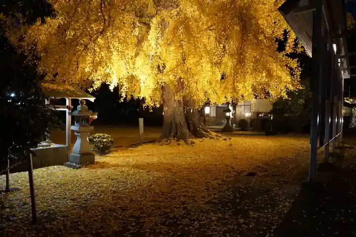 丹生酒殿神社のその他建物