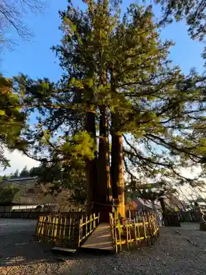 戸隠神社中社(長野県)