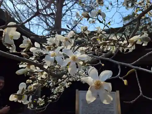 大宮八幡宮(東京都)