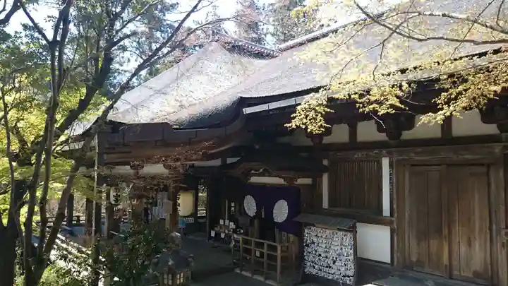 石山寺の動物