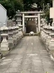 大泉氷川神社の鳥居