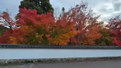 禅林寺(永観堂)(京都府)